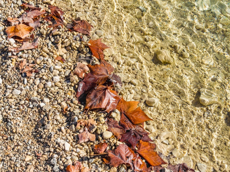 FOLHAS DE INVERNO E PEDRAS EM RIACHO