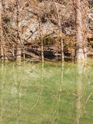 ÁRVORES REFLETINDO EM RIACHO DE ÁGUAS LÍMPIDAS