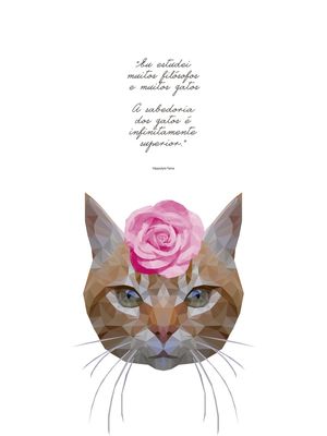 GATA FILOSÓFICA BRANCO