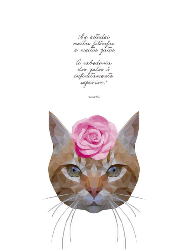 GATA FILOSÓFICA BRANCO