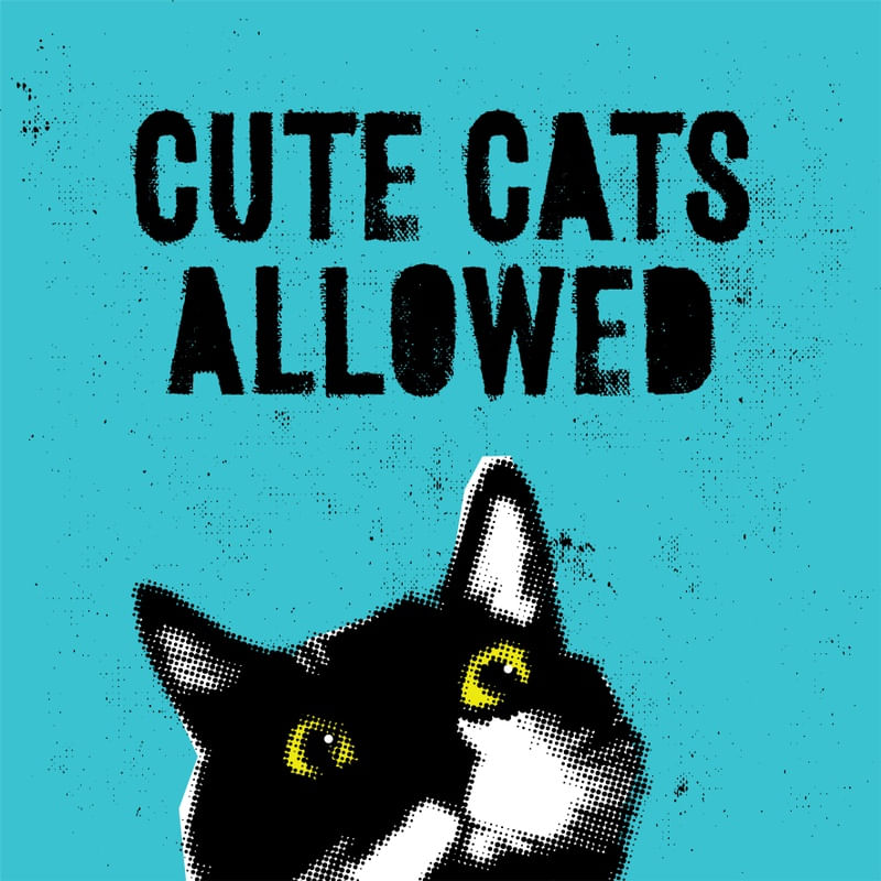 CUTE CATS ALLOWED