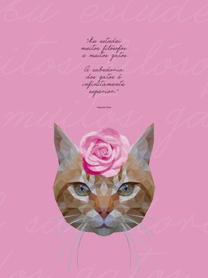 GATA FILOSÓFICA ROSA