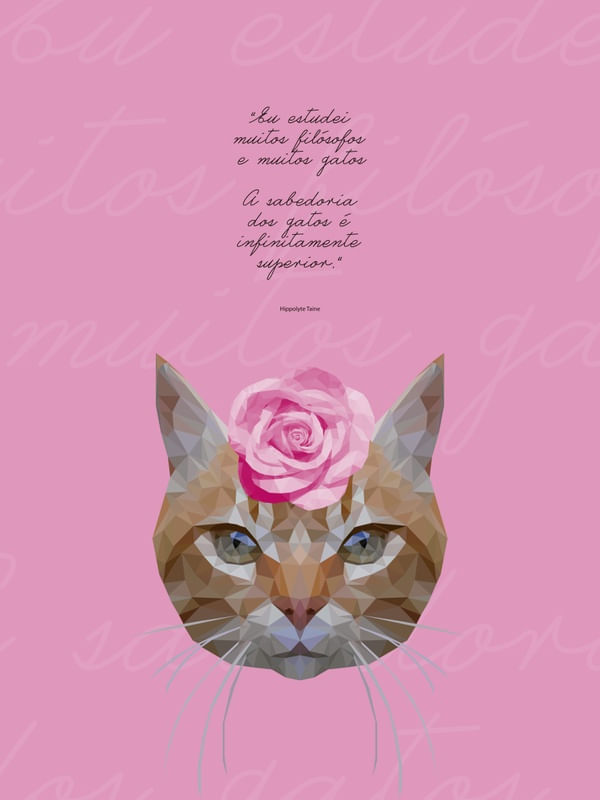 GATA FILOSÓFICA ROSA