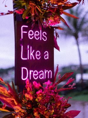 FEELS LIKE A DREAM