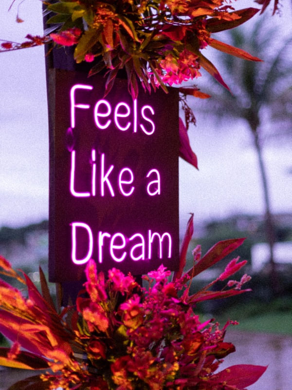 FEELS LIKE A DREAM