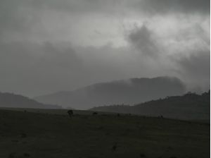 FOG LAYERS