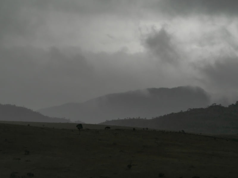 FOG LAYERS