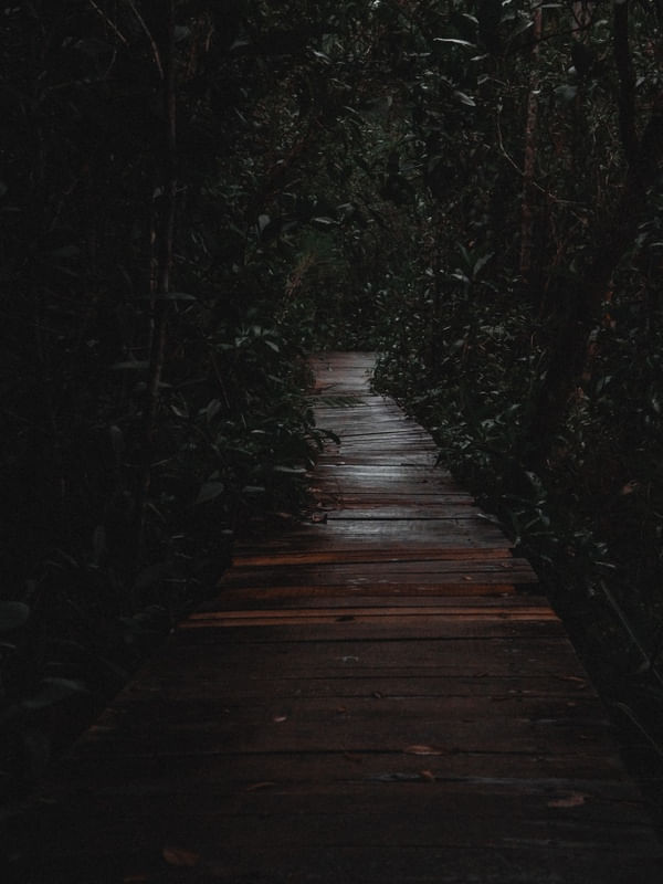WANDER A LITTLE MORE