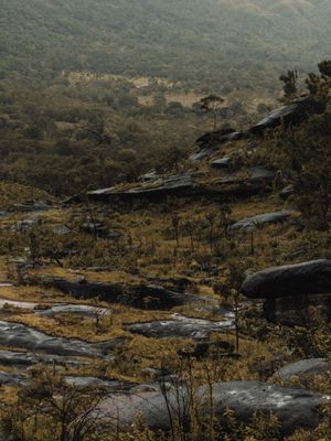 PATH OF ROCK