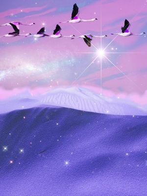 PURPLE DUNES LANDSCAPE