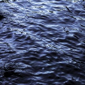 BLUE SEA 2