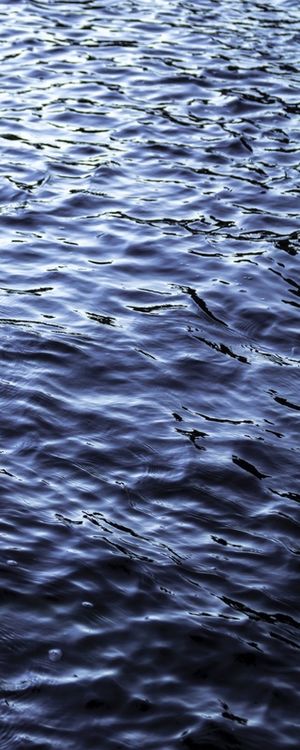 BLUE SEA 1