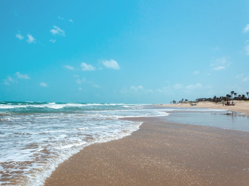 PRAIA DE FLECHEIRAS II