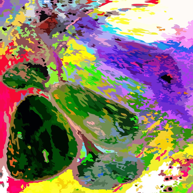 020122-B2
