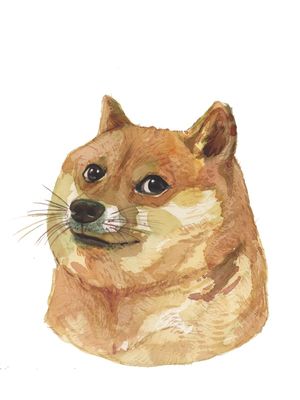 SHIBA