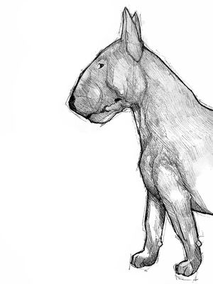 BULL TERRIER ART