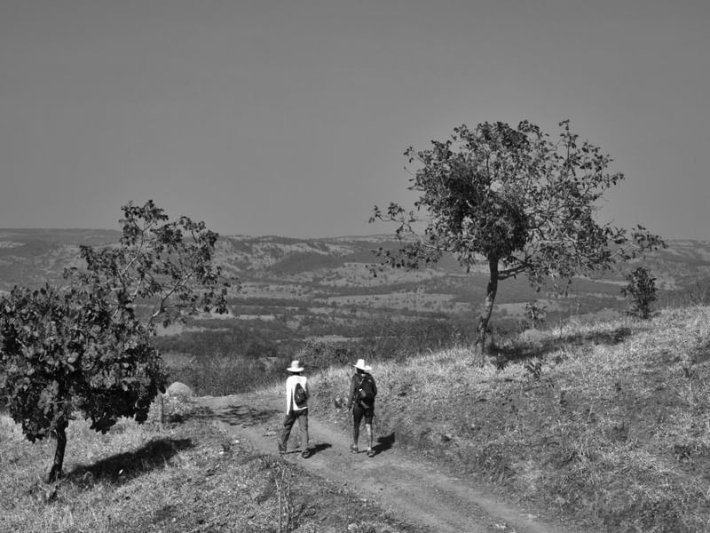 GPJ_210801714-1