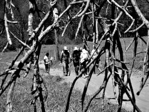GPJ_210802288