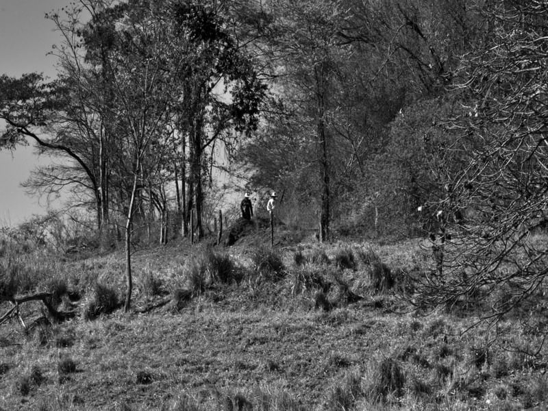 GPJ_210804740-1