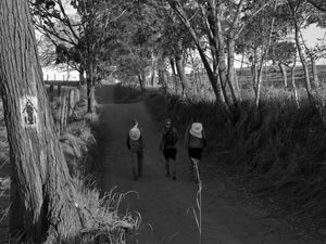 GPJ_210804922-1