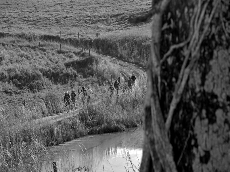 GPJ_210804977-1