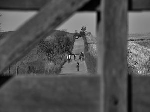 GPJ_210805224-1