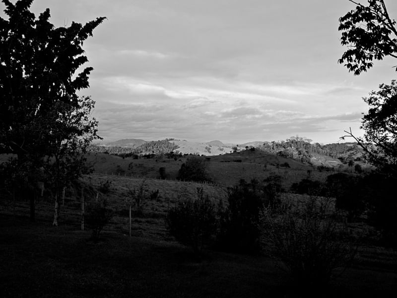 GPJ_211106249-1