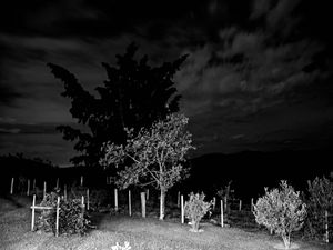 GPJ_211106257-1