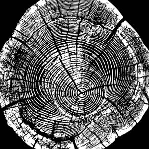 WOODCUT BLACK V
