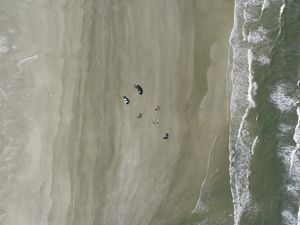 AMIGOS PRATICANTES DE KITESURF
