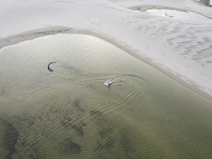 KITESURF NAS LAGOAS DOS LENÇÓIS MARANHENSES