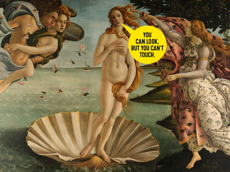 MUSEUM RULES - VENUS