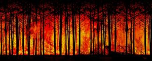FLORESTA EM CHAMAS (COMBATE AO DESMATAMENTO)