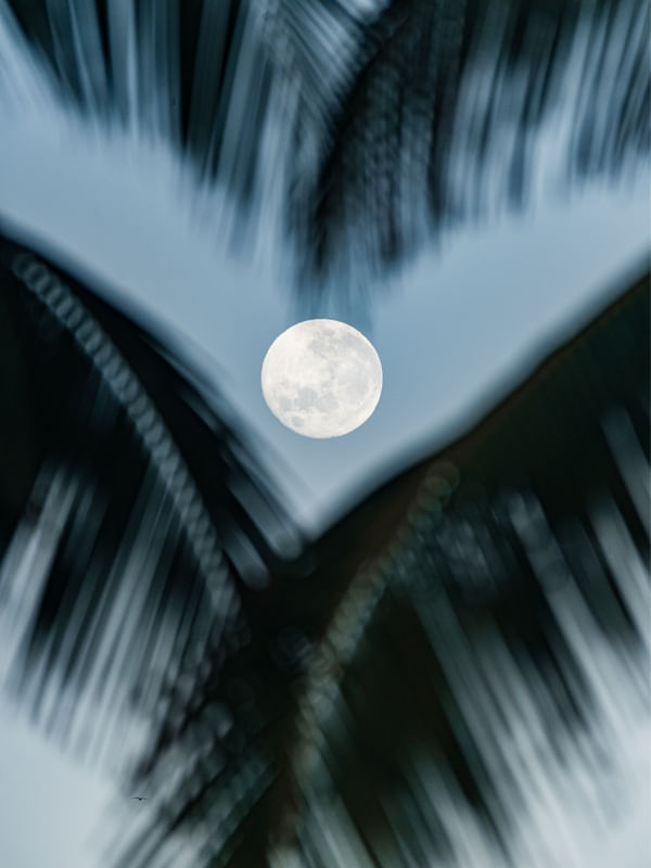 LUA NO CORAÇÃO II