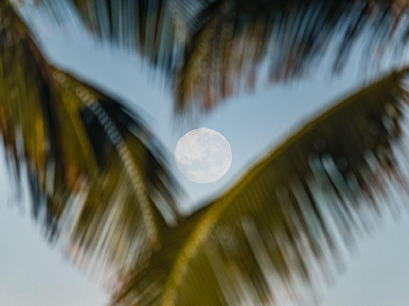 LUA NO CORAÇÃO
