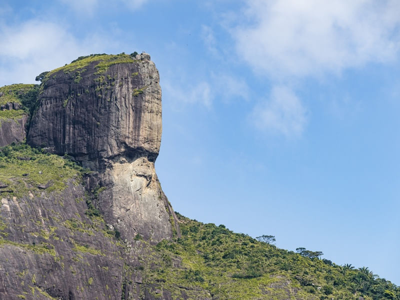 ROSTO DO IMPERADOR II