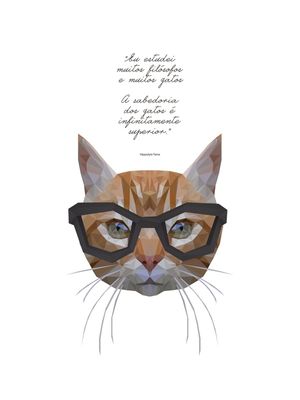 GATOS FILOSÓFICOS BRANCO