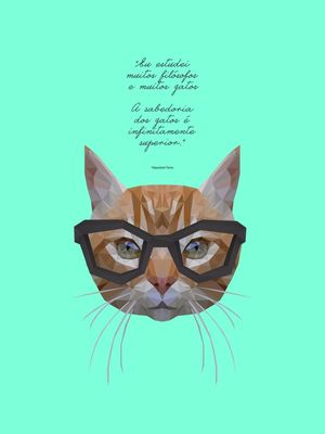 GATOS FILOSÓFICOS VERDE