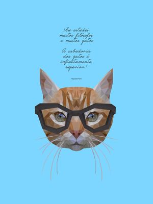 GATOS FILOSÓFICOS