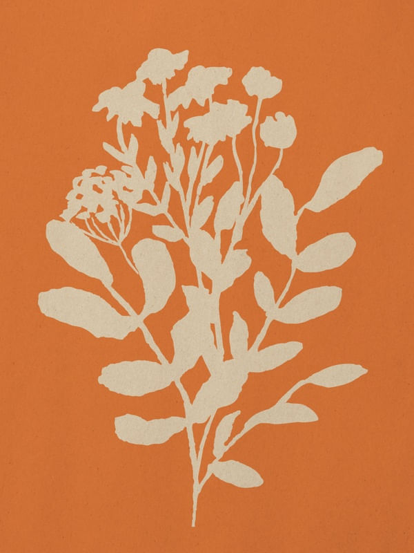 ABSTRACT FLORAL ART