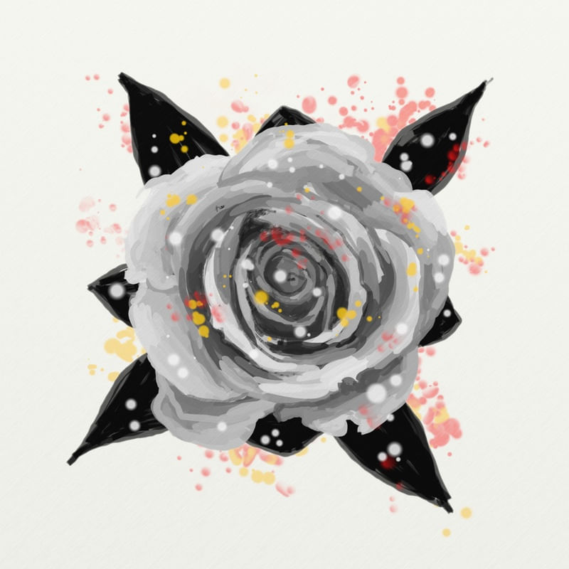 FLORAÇÃO 12