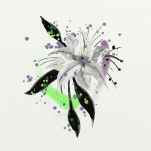 FLORAÇÃO 13