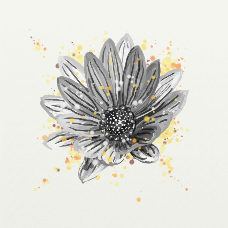 FLORAÇÃO 14