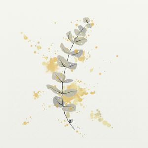FLORAÇÃO 15
