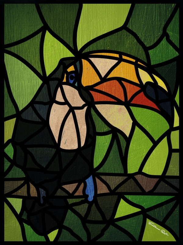 TUCANO_