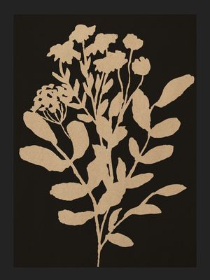 ABSTRACT FLORAL ART 5