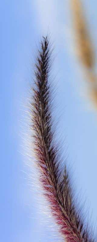 MACRO WORLD 2