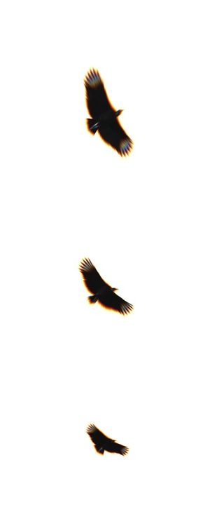 PARALLEL FLIGHT 3