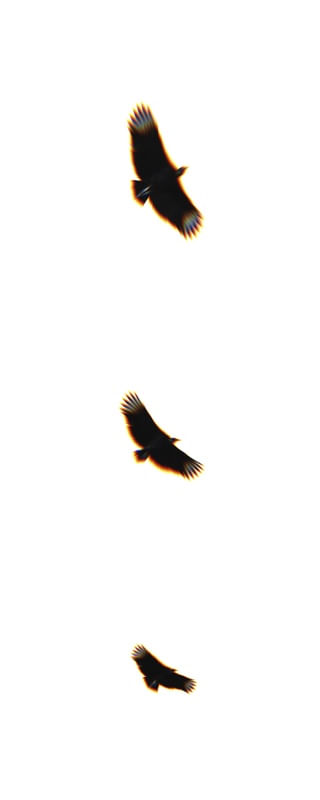 PARALLEL FLIGHT 3