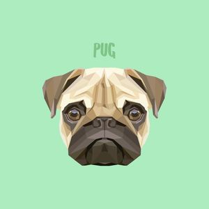 PUG 01